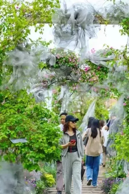 如何调整分卫的心理状态以应对比赛压力_2